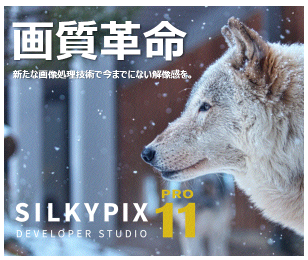 SILKYPIX �̔��X